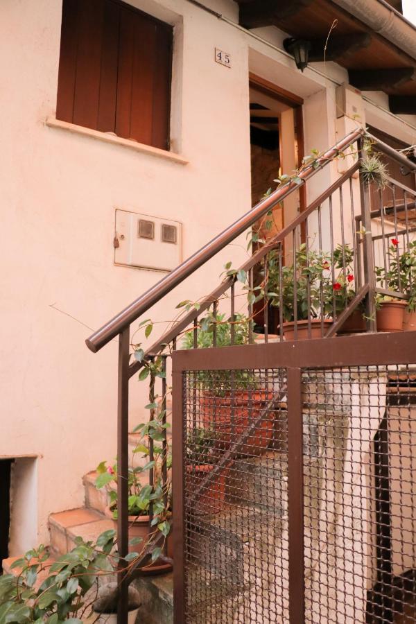 Appartamento Apartamento Jaizkibel By Sanse Holidays Lezo Esterno foto